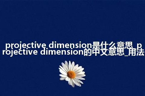 projective dimension是什么意思_projective dimension的中文意思_用法
