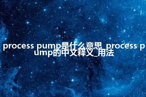 process pump是什么意思_process pump的中文释义_用法