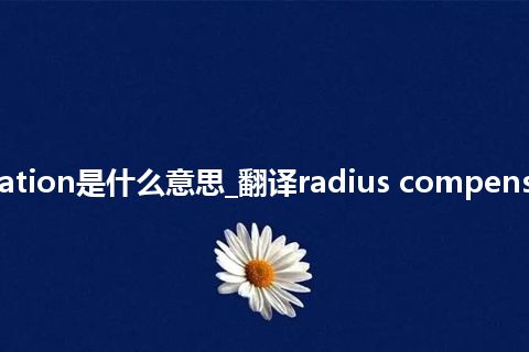 radius compensation是什么意思_翻译radius compensation的意思_用法