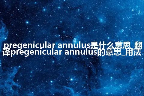 pregenicular annulus是什么意思_翻译pregenicular annulus的意思_用法