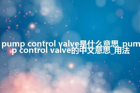 pump control valve是什么意思_pump control valve的中文意思_用法