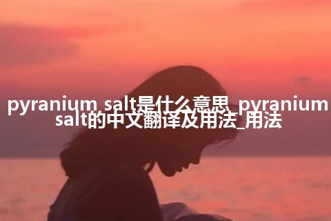 pyranium salt是什么意思_pyranium salt的中文翻译及用法_用法