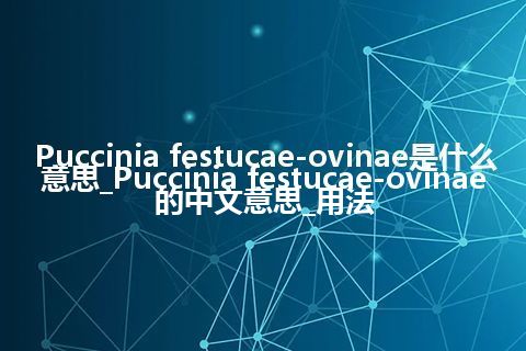 Puccinia festucae-ovinae是什么意思_Puccinia festucae-ovinae的中文意思_用法