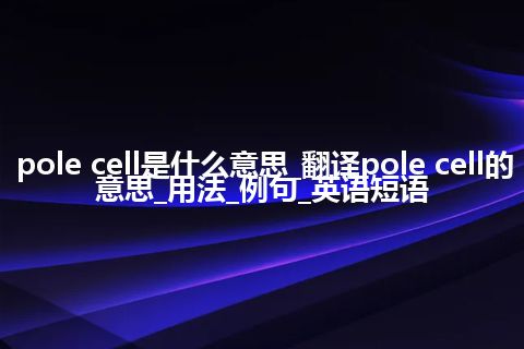 pole cell是什么意思_翻译pole cell的意思_用法_例句_英语短语