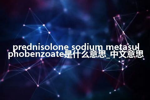 prednisolone sodium metasulphobenzoate是什么意思_中文意思