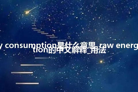 raw energy consumption是什么意思_raw energy consumption的中文解释_用法
