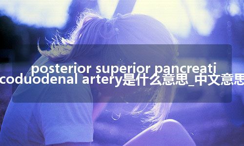 posterior superior pancreaticoduodenal artery是什么意思_中文意思