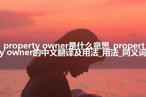 property owner是什么意思_property owner的中文翻译及用法_用法_同义词