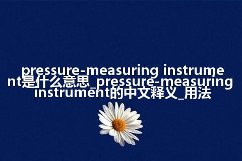 pressure-measuring instrument是什么意思_pressure-measuring instrument的中文释义_用法