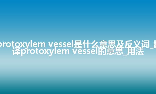 protoxylem vessel是什么意思及反义词_翻译protoxylem vessel的意思_用法