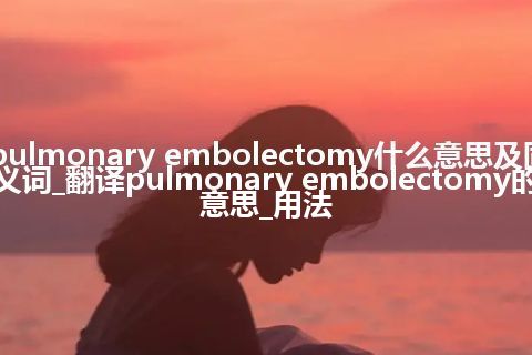 pulmonary embolectomy什么意思及同义词_翻译pulmonary embolectomy的意思_用法