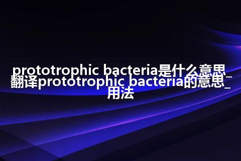 prototrophic bacteria是什么意思_翻译prototrophic bacteria的意思_用法