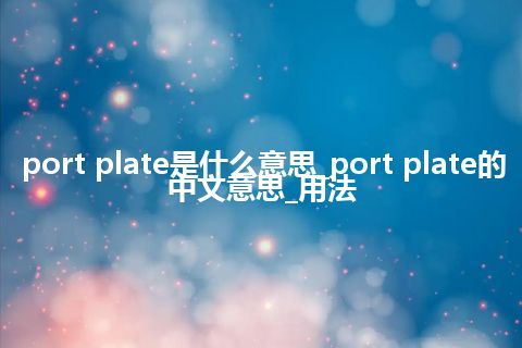 port plate是什么意思_port plate的中文意思_用法