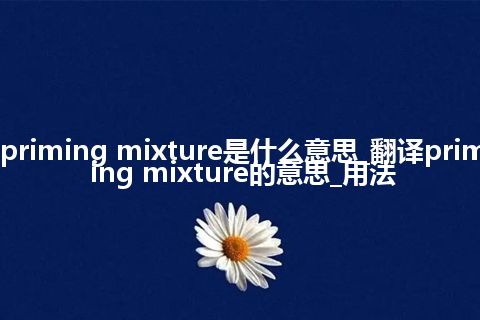 priming mixture是什么意思_翻译priming mixture的意思_用法