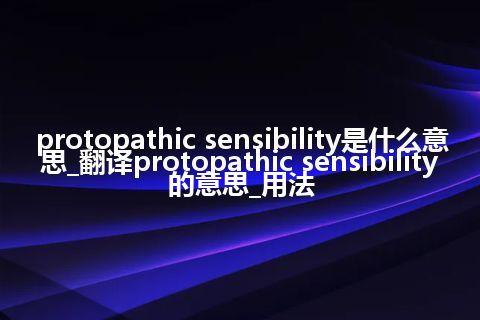 protopathic sensibility是什么意思_翻译protopathic sensibility的意思_用法
