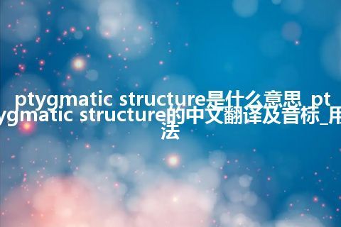 ptygmatic structure是什么意思_ptygmatic structure的中文翻译及音标_用法