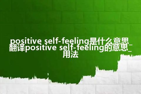 positive self-feeling是什么意思_翻译positive self-feeling的意思_用法