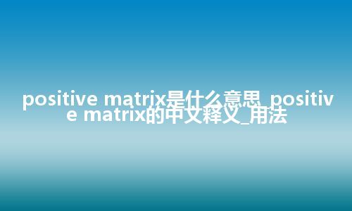 positive matrix是什么意思_positive matrix的中文释义_用法