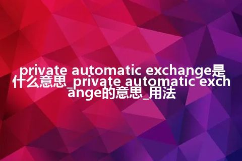 private automatic exchange是什么意思_private automatic exchange的意思_用法