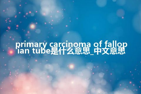 primary carcinoma of fallopian tube是什么意思_中文意思