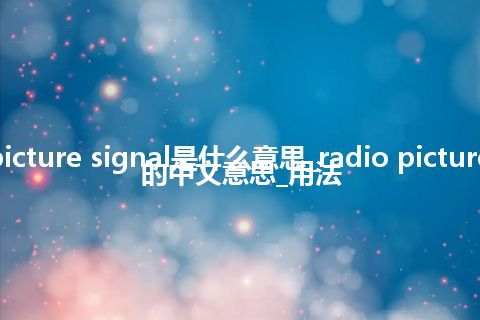 radio picture signal是什么意思_radio picture signal的中文意思_用法