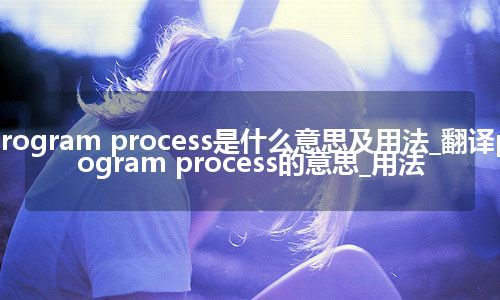 program process是什么意思及用法_翻译program process的意思_用法