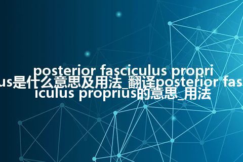 posterior fasciculus proprius是什么意思及用法_翻译posterior fasciculus proprius的意思_用法