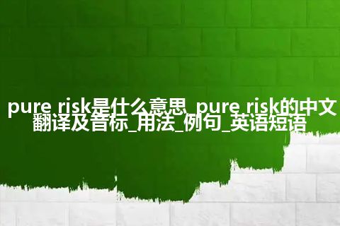 pure risk是什么意思_pure risk的中文翻译及音标_用法_例句_英语短语