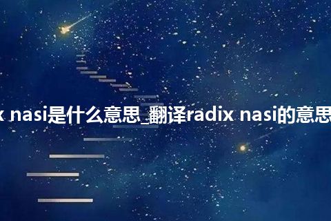radix nasi是什么意思_翻译radix nasi的意思_用法