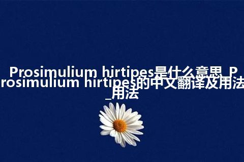 Prosimulium hirtipes是什么意思_Prosimulium hirtipes的中文翻译及用法_用法