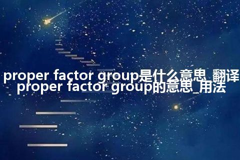 proper factor group是什么意思_翻译proper factor group的意思_用法