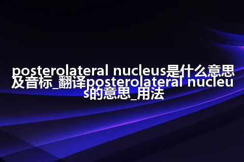posterolateral nucleus是什么意思及音标_翻译posterolateral nucleus的意思_用法