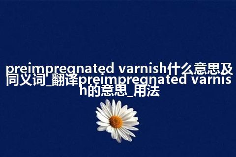 preimpregnated varnish什么意思及同义词_翻译preimpregnated varnish的意思_用法