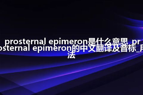 prosternal epimeron是什么意思_prosternal epimeron的中文翻译及音标_用法