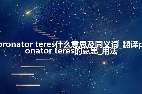 pronator teres什么意思及同义词_翻译pronator teres的意思_用法