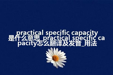 practical specific capacity是什么意思_practical specific capacity怎么翻译及发音_用法
