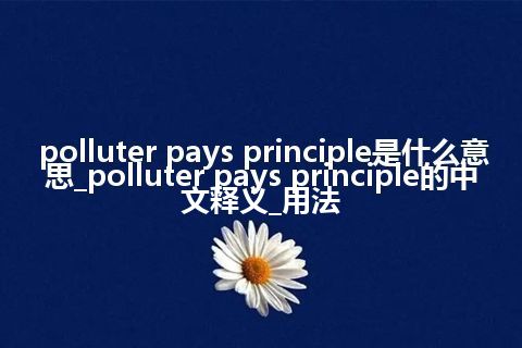 polluter pays principle是什么意思_polluter pays principle的中文释义_用法