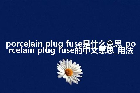 porcelain plug fuse是什么意思_porcelain plug fuse的中文意思_用法