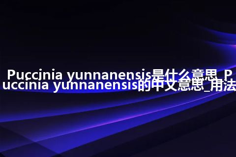 Puccinia yunnanensis是什么意思_Puccinia yunnanensis的中文意思_用法