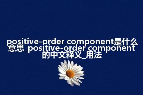 positive-order component是什么意思_positive-order component的中文释义_用法