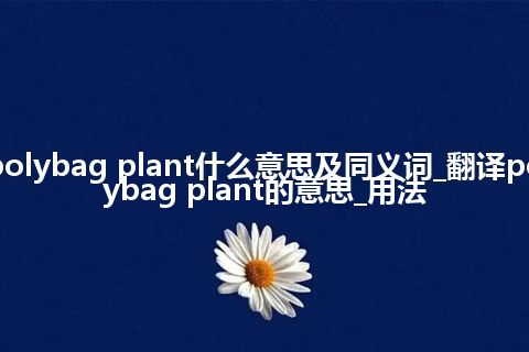 polybag plant什么意思及同义词_翻译polybag plant的意思_用法