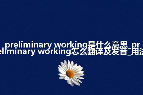 preliminary working是什么意思_preliminary working怎么翻译及发音_用法