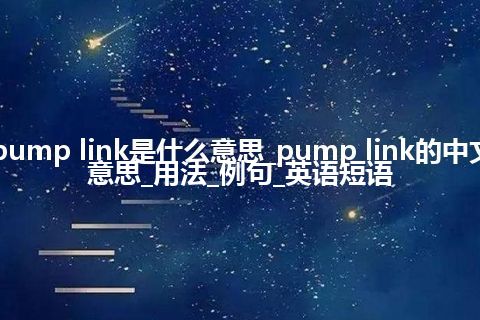 pump link是什么意思_pump link的中文意思_用法_例句_英语短语