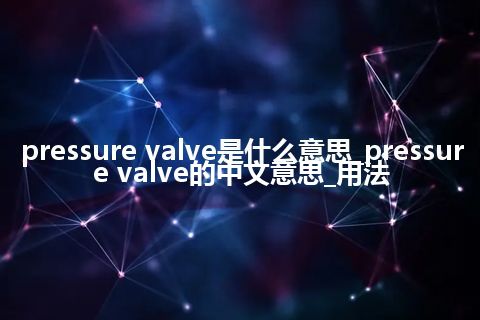 pressure valve是什么意思_pressure valve的中文意思_用法