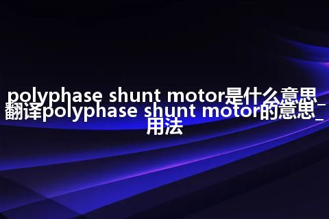 polyphase shunt motor是什么意思_翻译polyphase shunt motor的意思_用法