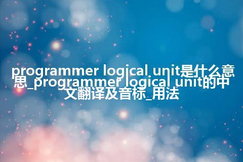 programmer logical unit是什么意思_programmer logical unit的中文翻译及音标_用法