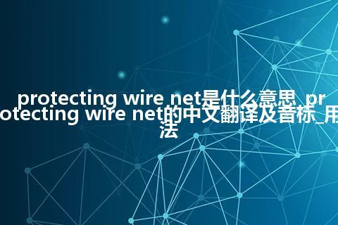 protecting wire net是什么意思_protecting wire net的中文翻译及音标_用法
