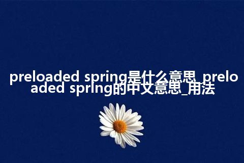 preloaded spring是什么意思_preloaded spring的中文意思_用法