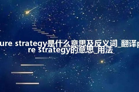 pure strategy是什么意思及反义词_翻译pure strategy的意思_用法