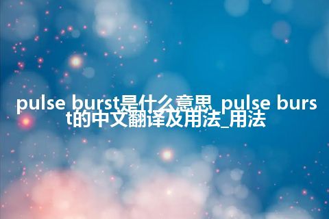 pulse burst是什么意思_pulse burst的中文翻译及用法_用法